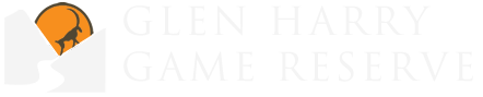 glen-harry-logo